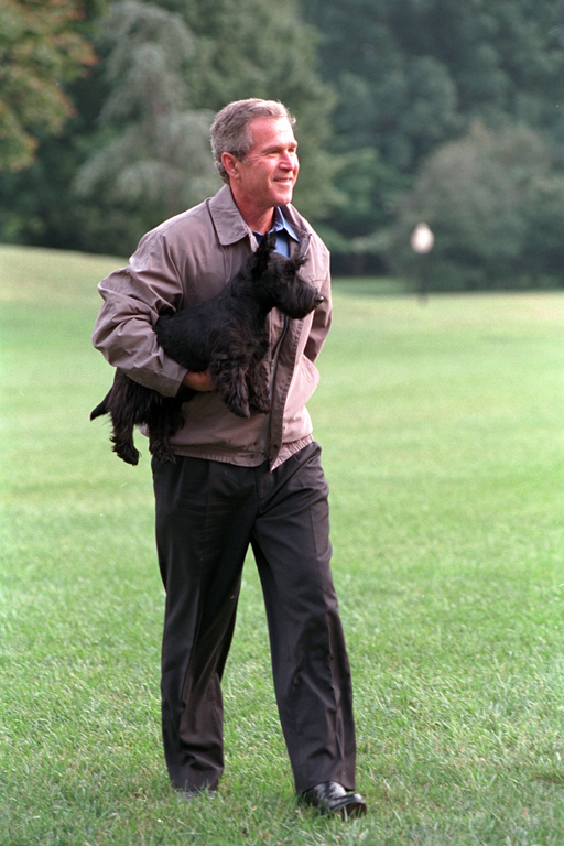 President George W. Bush carries Barney to the South Portico of the White House, September 3, 2001, after disembarking Marine One. (P6560-34A)