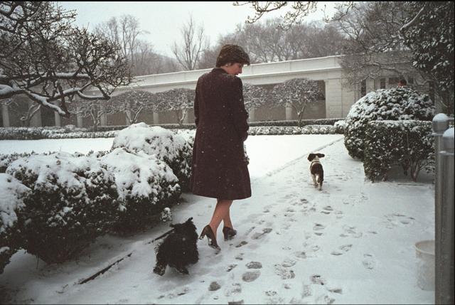 Mrs. Laura Bush Walks through the Snow in the Rose Garden with Barney and Spot on February 22, 2001.