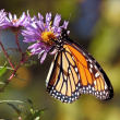 092716 - Update Native Texas Park