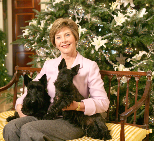 Christmas 2005 3