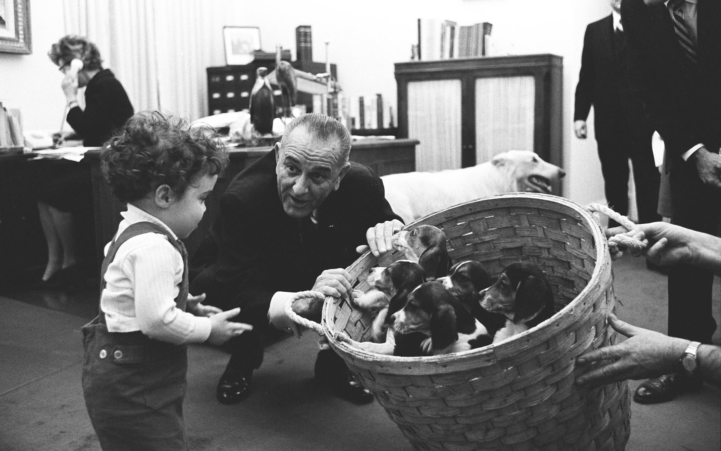 President Johnson shows a basket of Beagle puppies to special assistant Jack Valenti's daughter, Courtenay, at the White House, January 5, 1966. LBJ Library photo by Yoichi Okamoto.