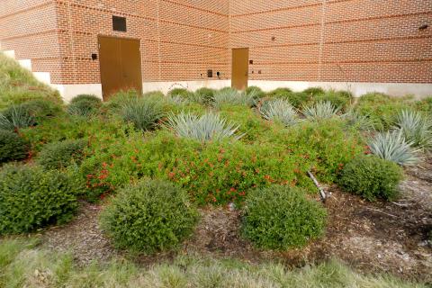 Formal Garden