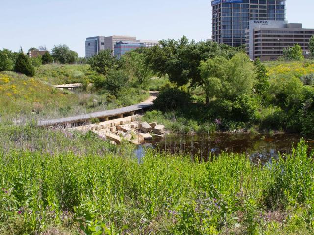 A picture of Butterfly Alley in the Native Texas Park at the George W Bush Library and Museum