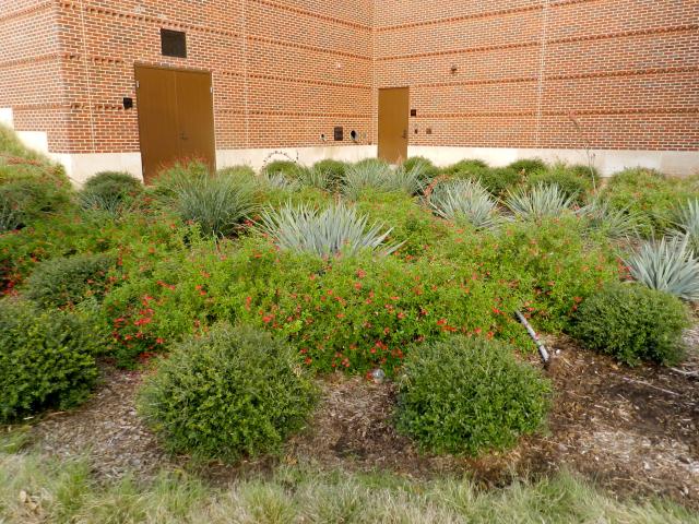 Formal Garden