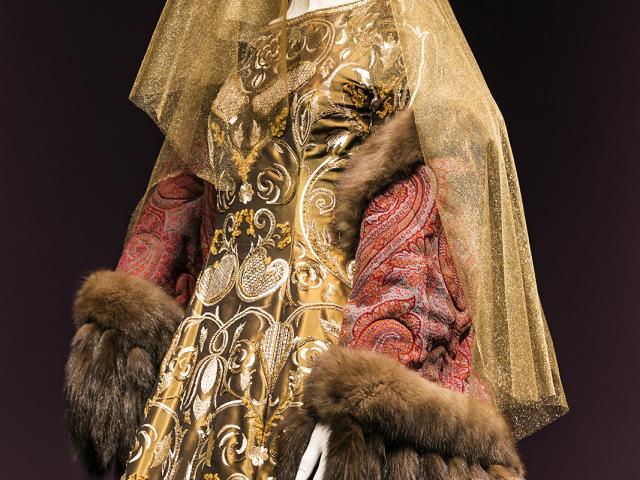 Fur Sleeved Dress