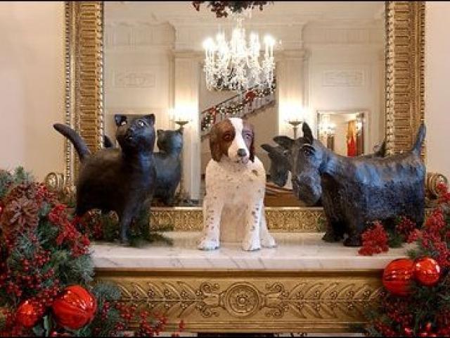 Bush Pets - India, Spot and Barney