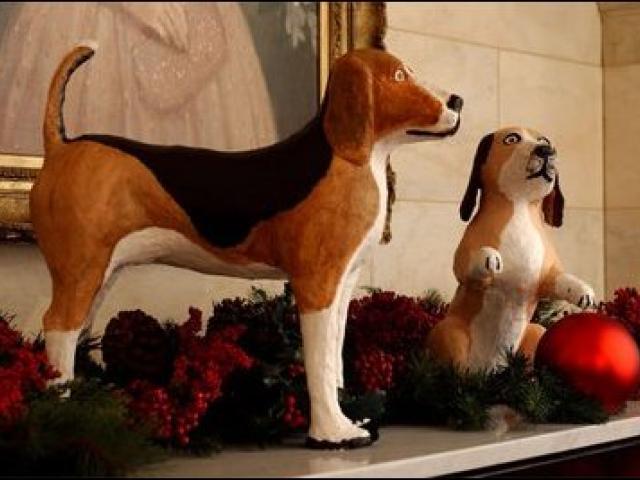 Johnson's Dogs