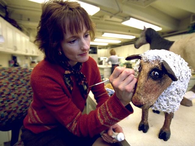 Sheep 1