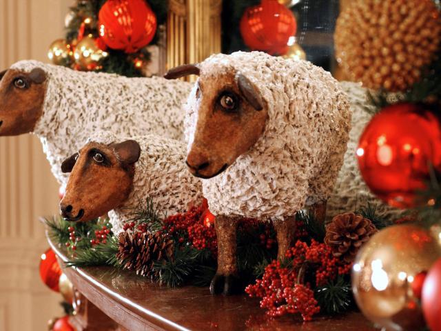 Sheep 2