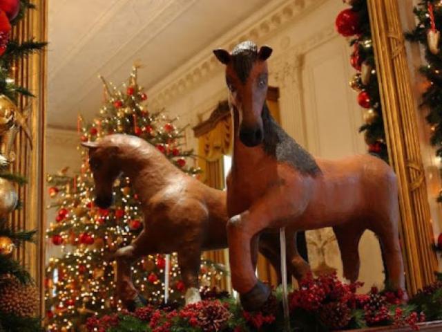 Horse 3