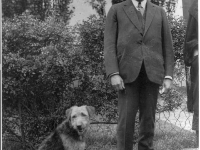Warren G. Harding, full length, standing, facing front; with his airedale Laddie Boy. Washington D.C, ca 1909-1932. Photograph.