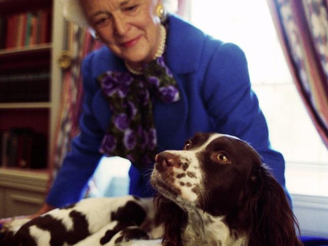 Mrs. Barbara Bush with Millie and her puppies at the White House, April 3, 1989. George Bush Presidential Library and Museum. P01791-14.