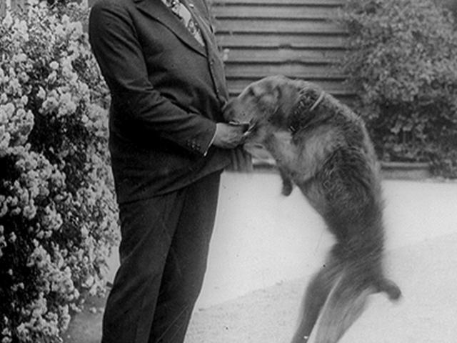 President Harding with pet dog Laddie Boy, being photographed in front of the White House. Washington D.C, 1922. Photograph.