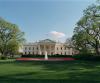 A robin sits on the North Lawn of the White House, April, 17, 2001.