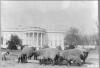 Sheep on the White House lawn. ca. 1919. Aug. 27. Photograph.