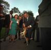 President Johnson lifts one of his beagles by the ears as members of the press look on, Washington, DC, May 4, 1964. LBJ Library photo by Cecil Stoughton. C311-7-WH64.