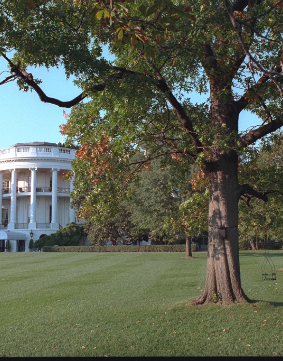 The White House, as seen from the South Lawn, October 8, 2001. (P8248-16A)