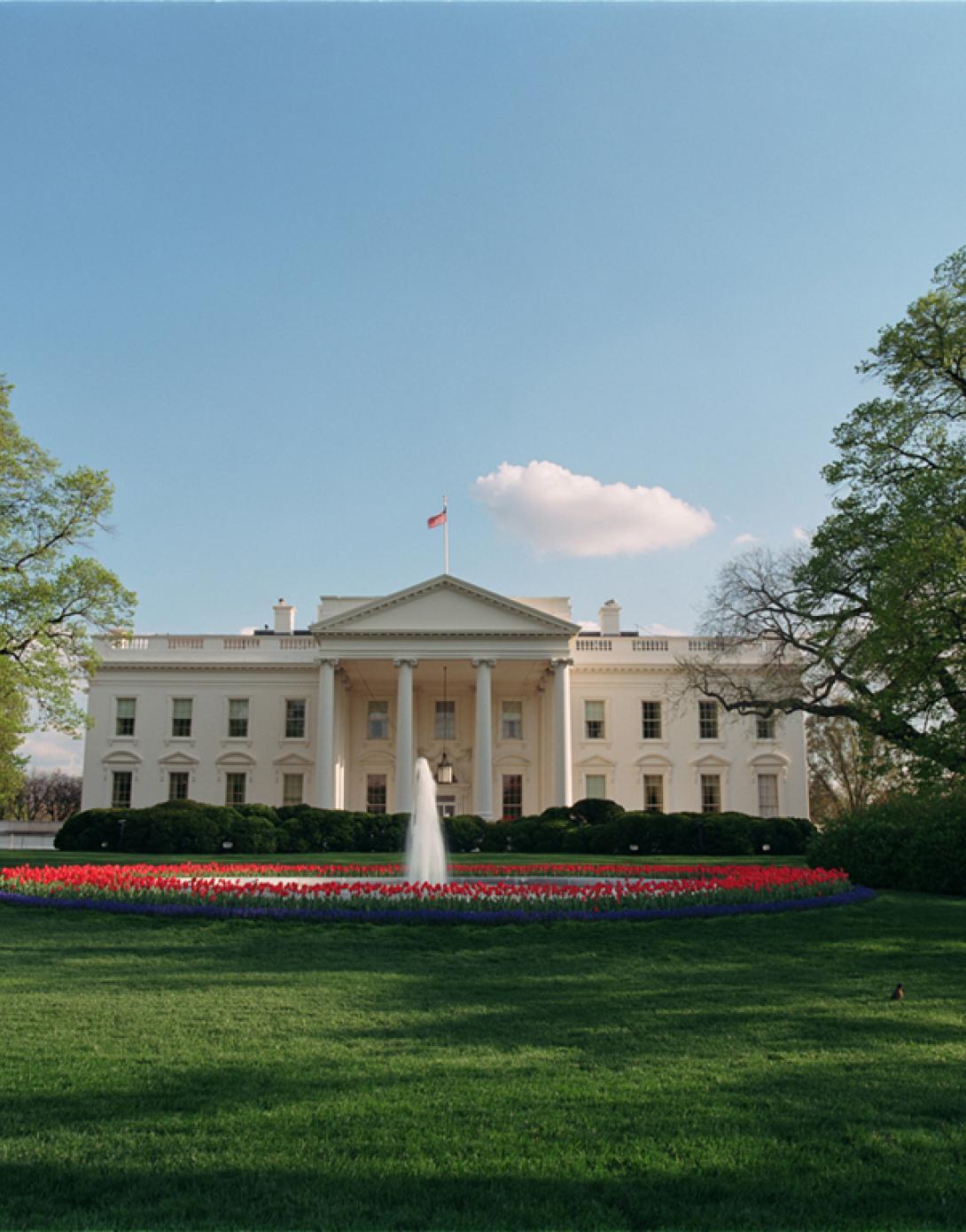 A robin sits on the North Lawn of the White House, April, 17, 2001.