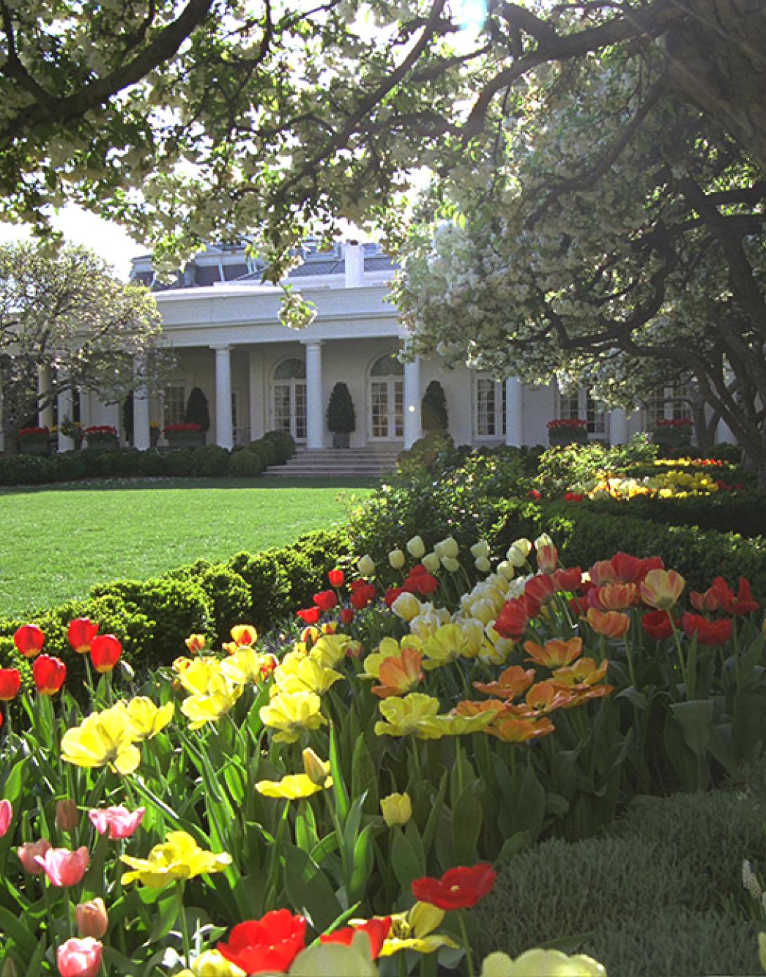 Flowers bloom in the North Lawn Rose Garden of the White House, April 14, 2003.