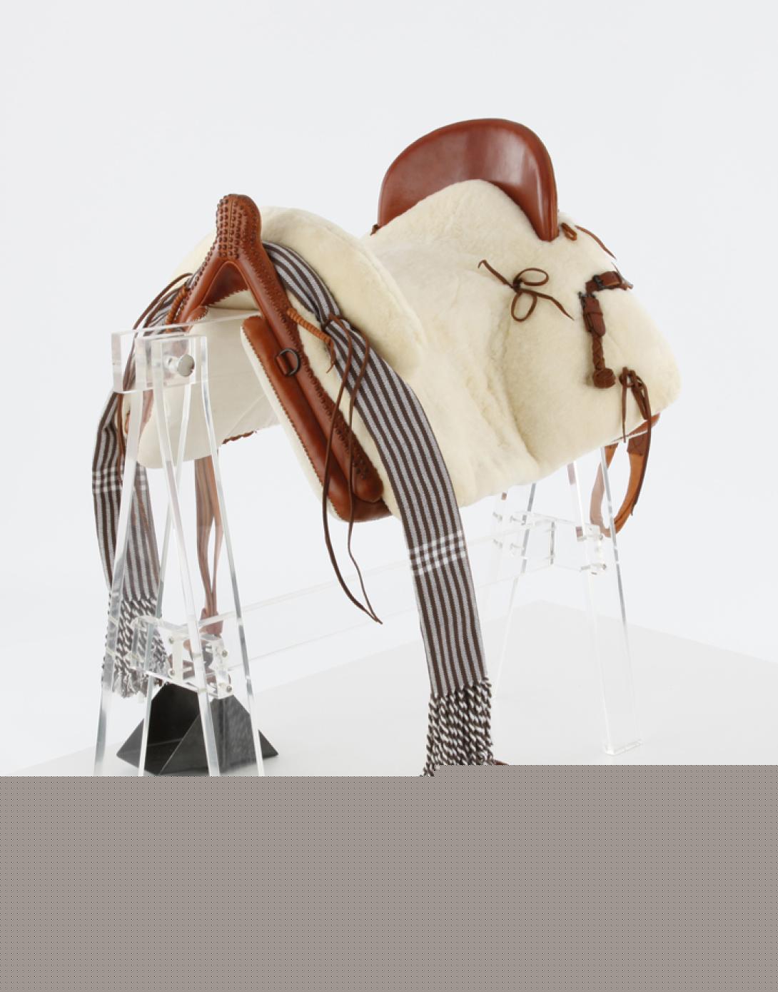 Saddle-Spain