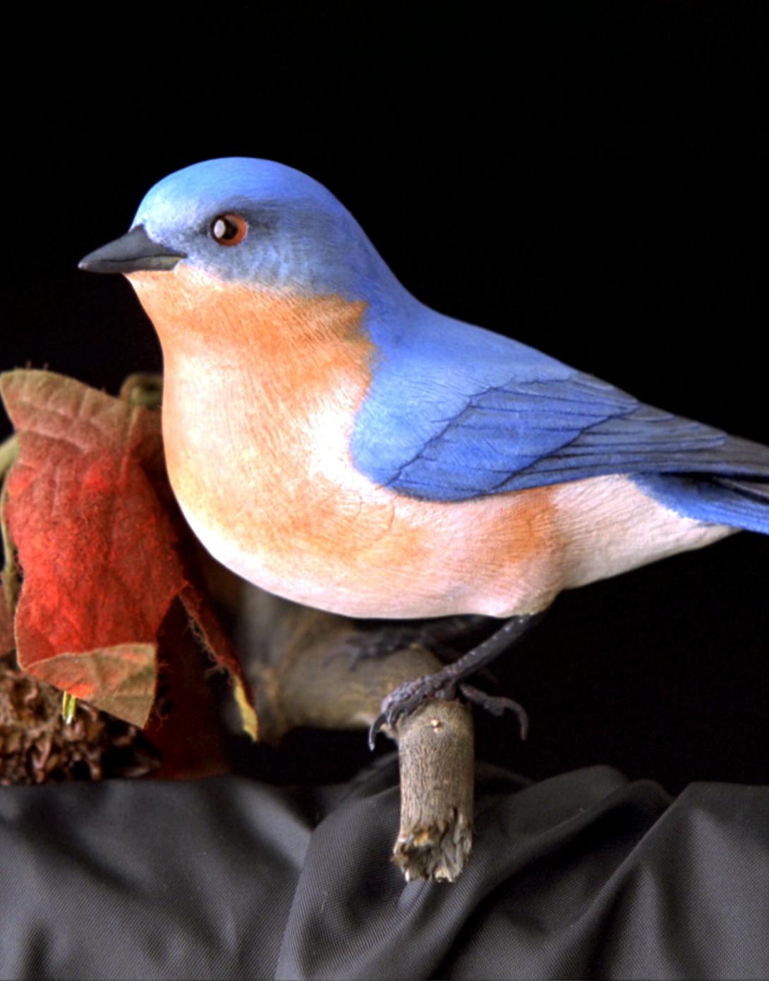 Bird 3