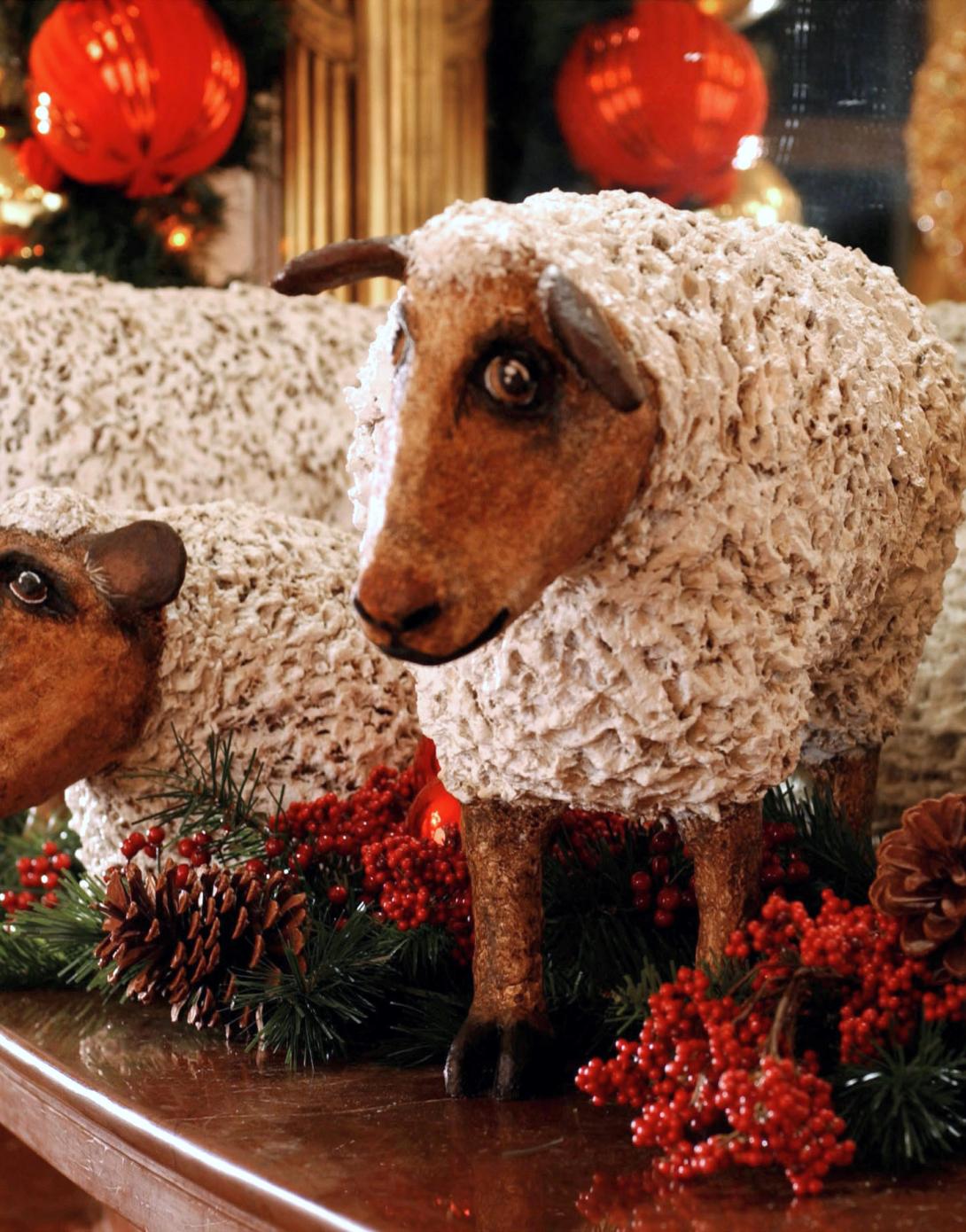 Sheep 2