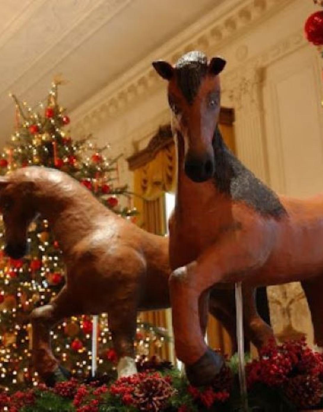 Horse 3
