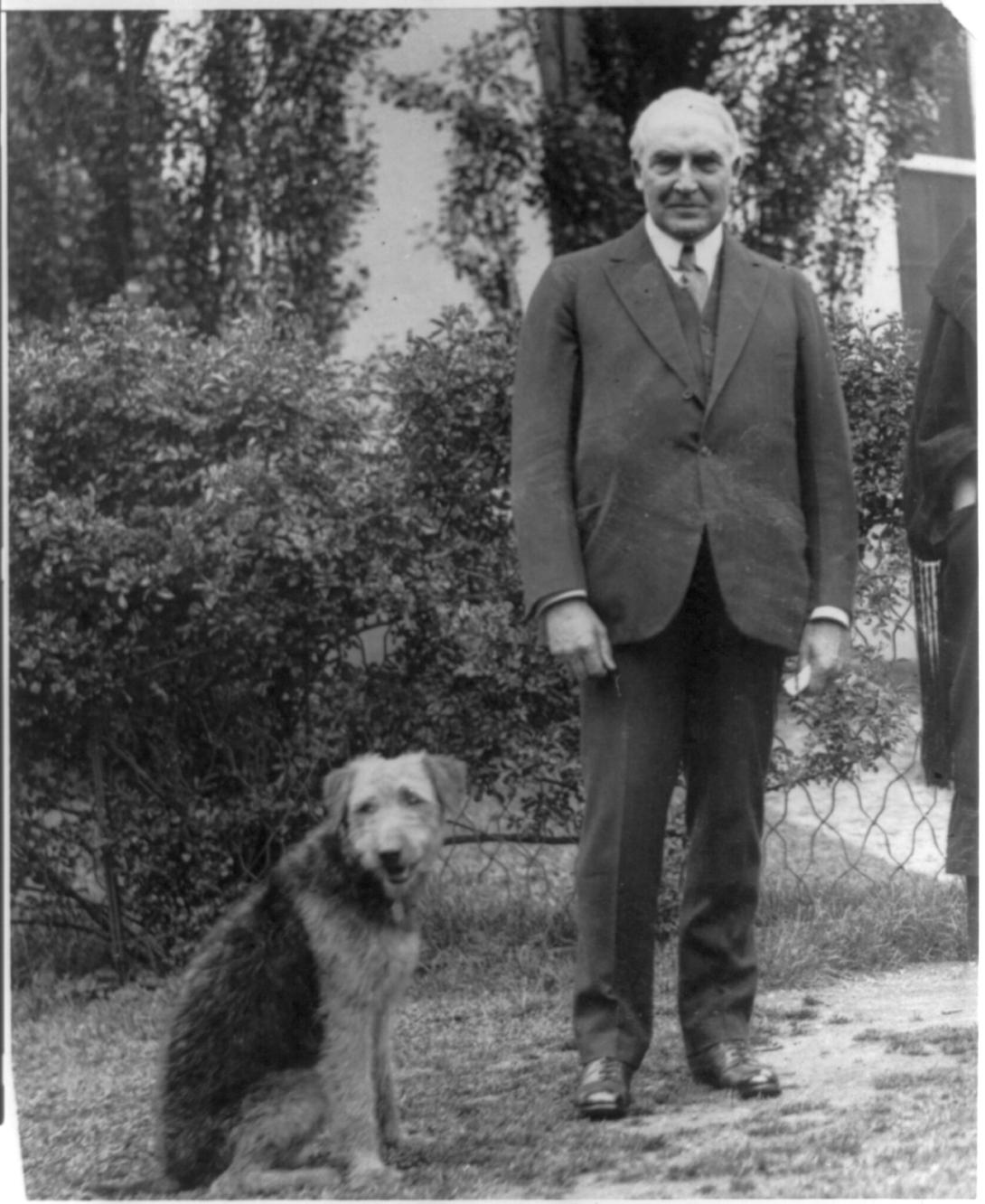 Warren G. Harding, full length, standing, facing front; with his airedale Laddie Boy. Washington D.C, ca 1909-1932. Photograph.