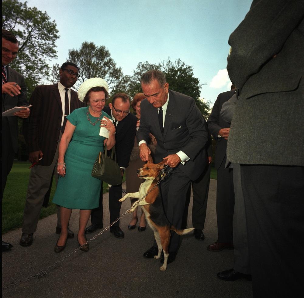 President Johnson lifts one of his beagles by the ears as members of the press look on, Washington, DC, May 4, 1964. LBJ Library photo by Cecil Stoughton. C311-7-WH64.