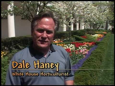 EP 181 Clip 4 04212005 Barney and Miss Beazley Spring 2005 Garden Video